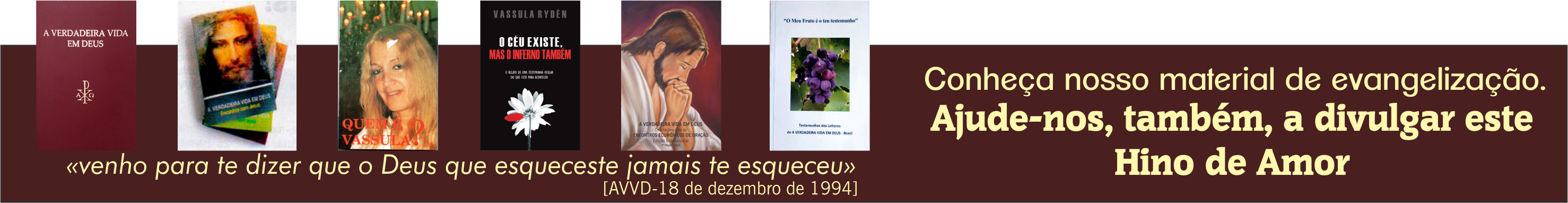 livro AVVD