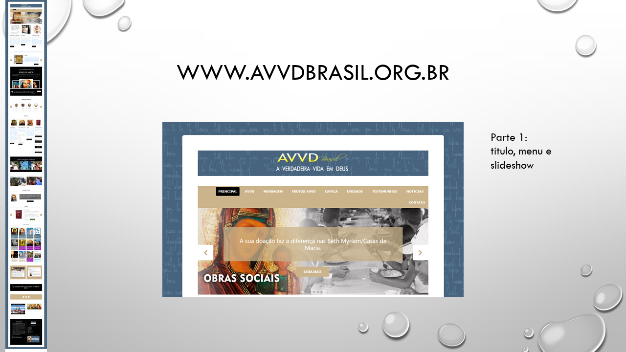 Site AVVDBrasil - Geciel - Slide 9.