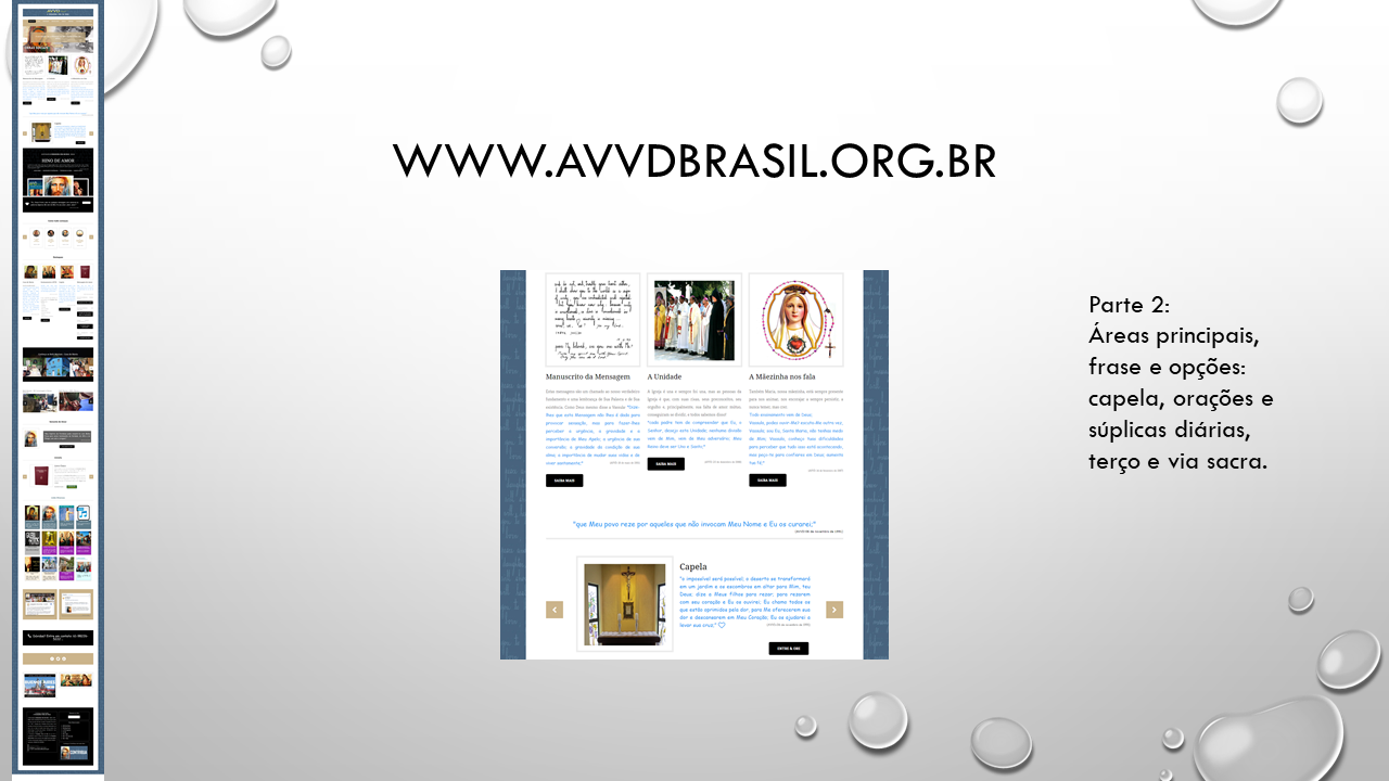 Site AVVDBrasil - Geciel - Slide 10.