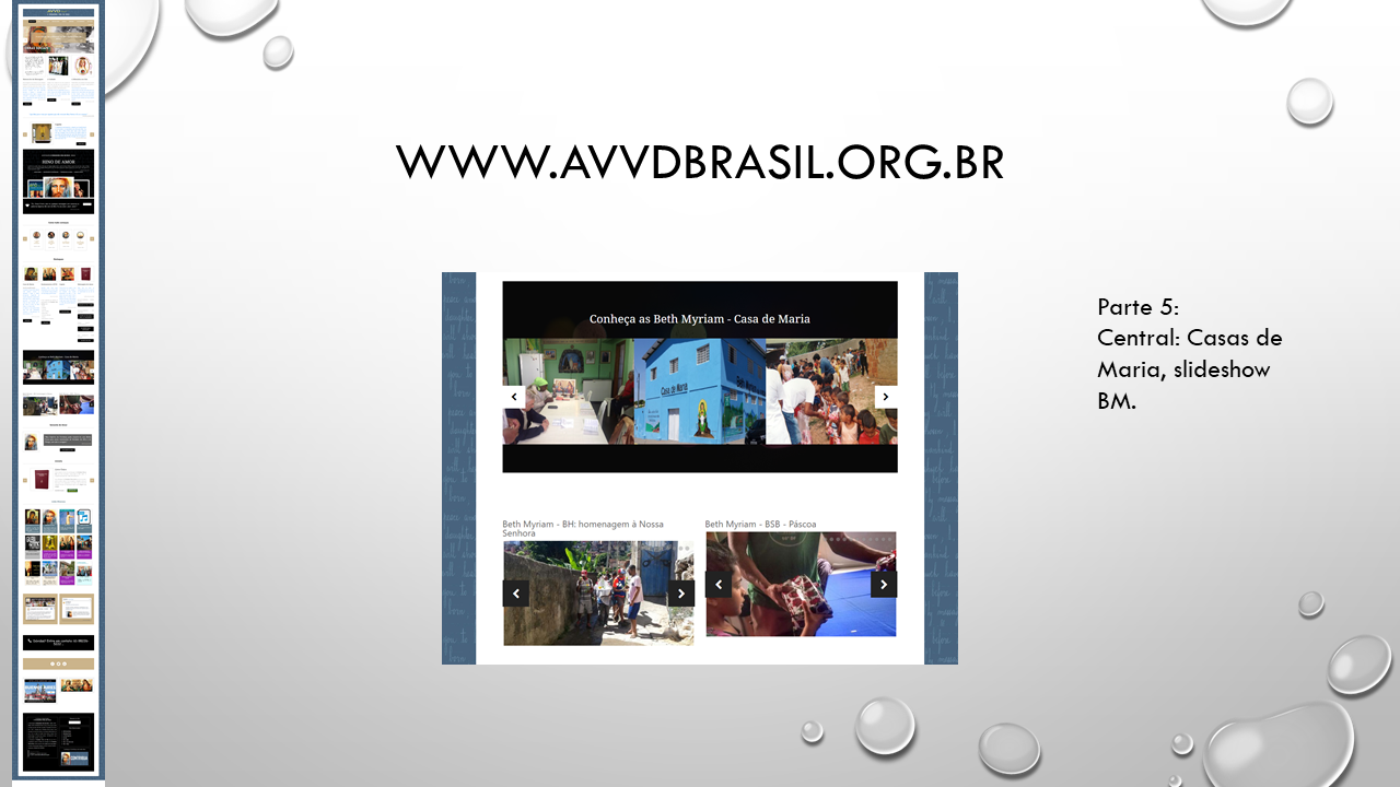 Site AVVDBrasil - Geciel - Slide 13.