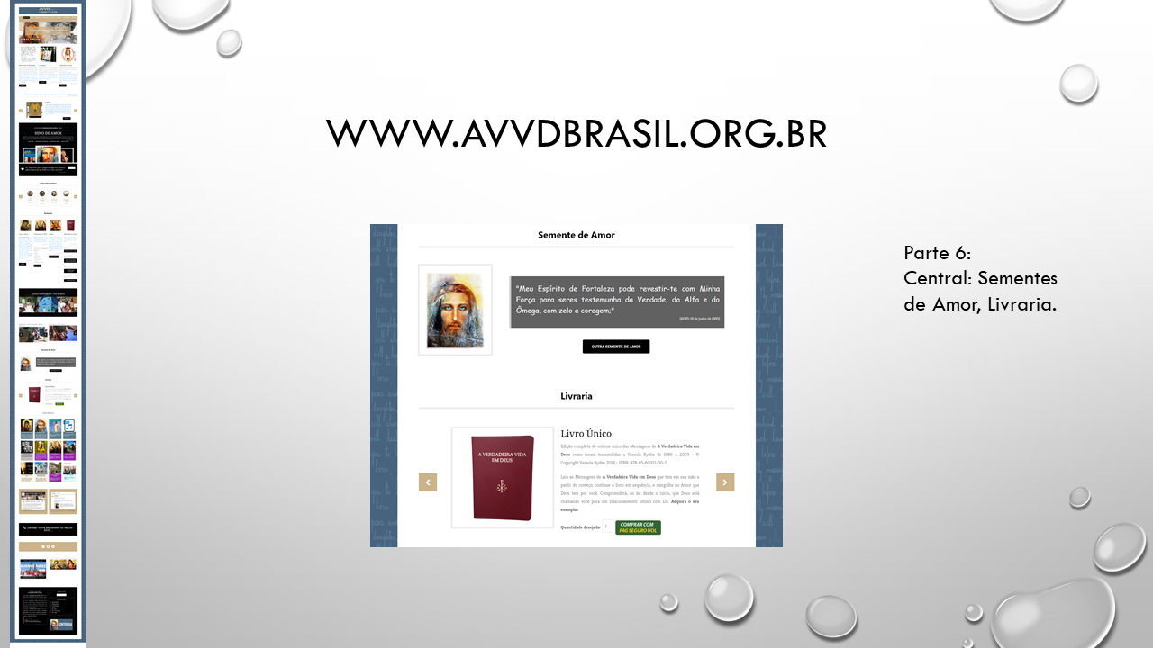 Site AVVDBrasil - Geciel -  Slide 14.